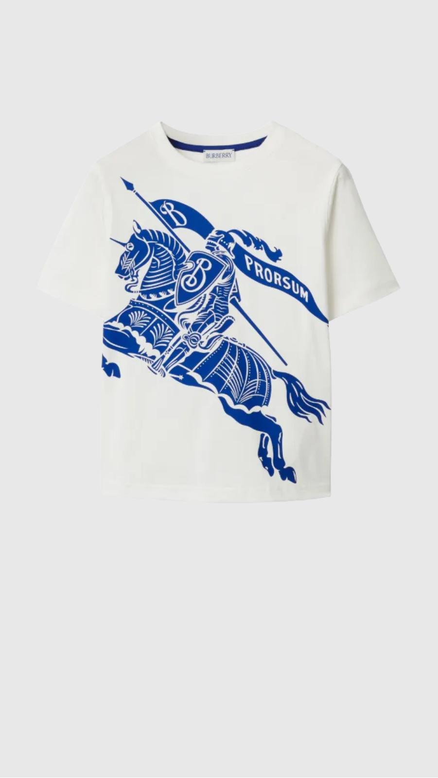 Burberry Outfit bleu